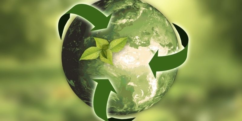 Green marketing strategies that support sustainable business growth